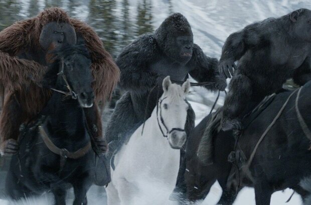 War for the Planet of the Apes (2017) - photo 12