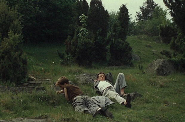 Тень папоротника (1986) - фото 1