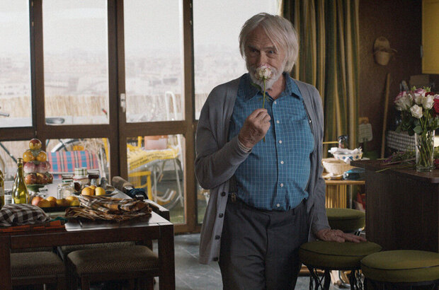 Mr. Stein Goes Online (2017) - photo 6