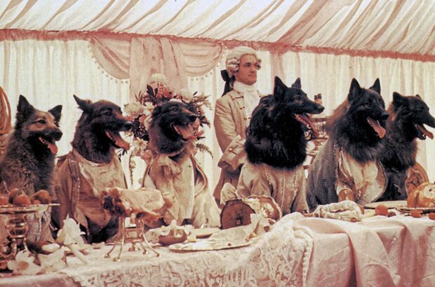 The Company of Wolves (1984) - photo 6