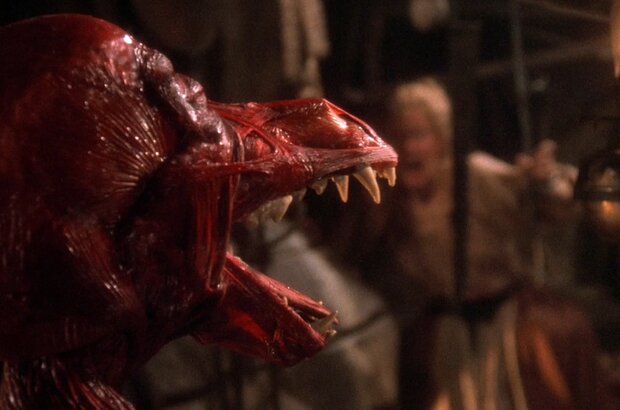 The Company of Wolves (1984) - photo 1