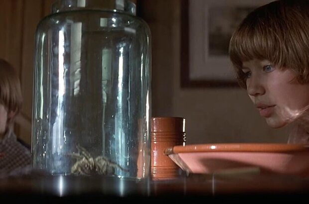 Приключения Тома Сойера (1995) - фото 2