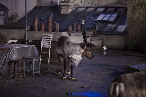 Санта и компания (2017) - фото 5