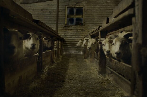 Lamb (2021) - photo 1