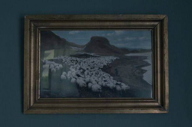 Lamb (2021) - photo 7