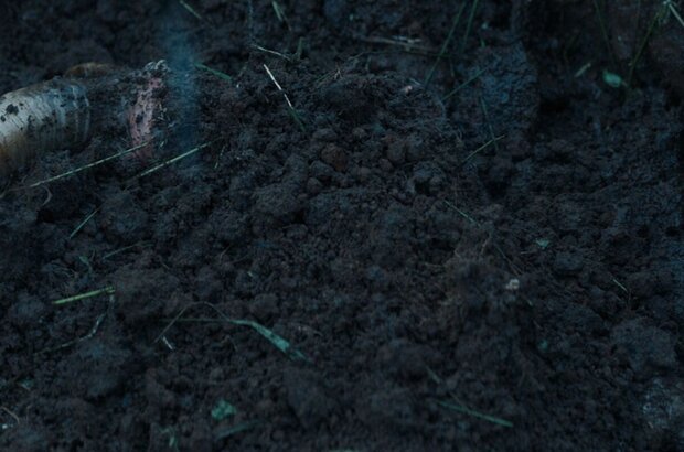 Lamb (2021) - photo 15