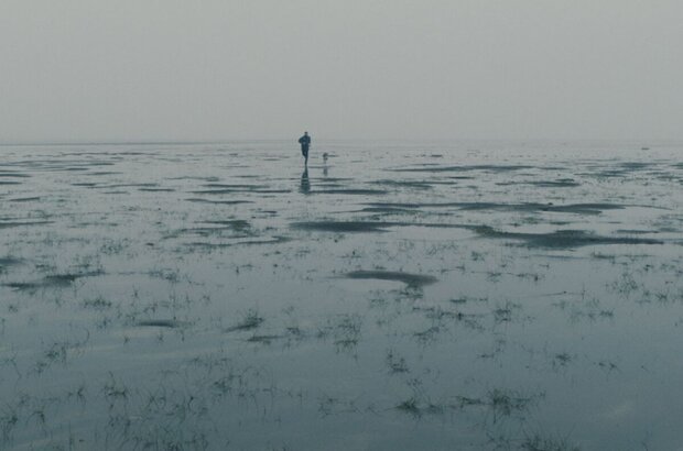 Lamb (2021) - photo 11