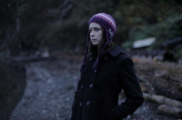 Your Sister's Sister (2012) - photo 4