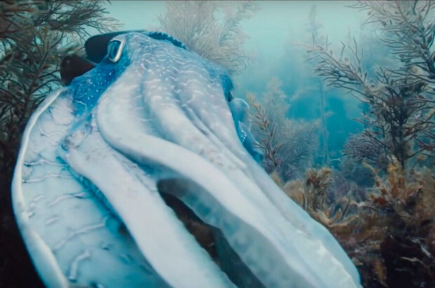Путешествие времени (2016) - фото 4