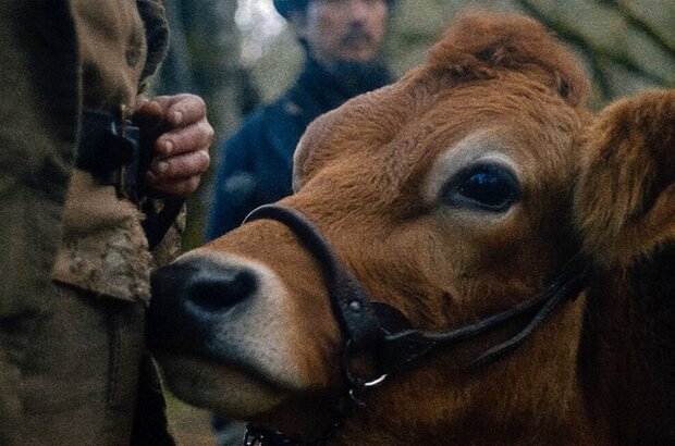 Первая корова (2019) - фото 2