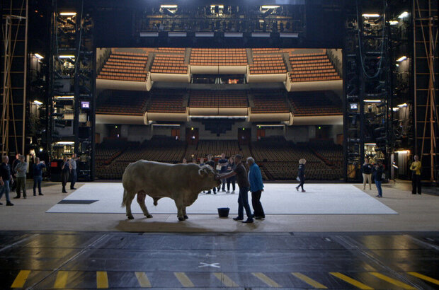 The Paris Opera (2017) - photo 4