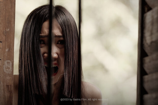 Dark House (2023) - photo 1