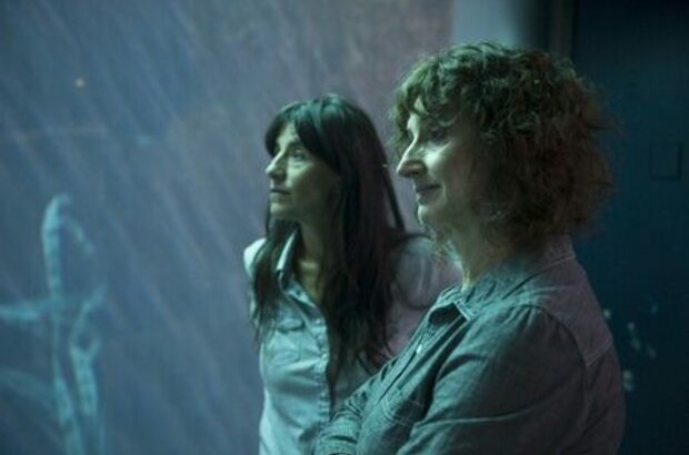 Vic + Flo Saw a Bear (2013) - photo 4