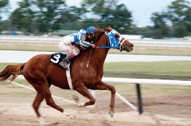Secretariat (2010) - photo 5