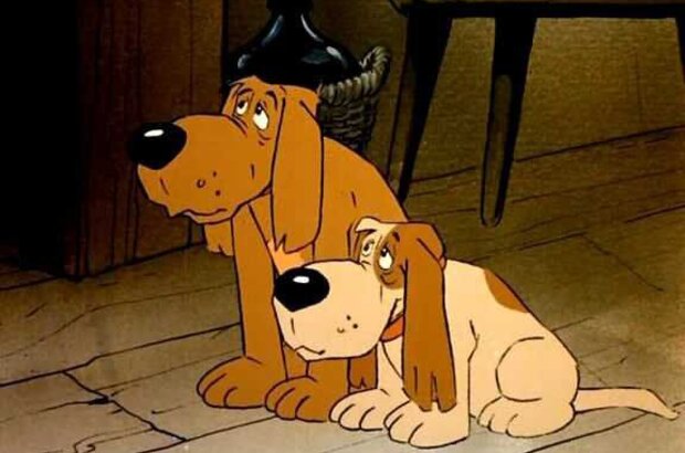 The Little Fox (1981) - photo 3