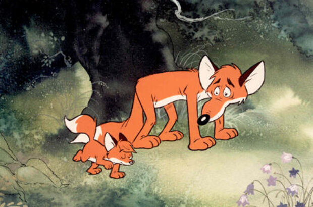 The Little Fox (1981) - photo 2