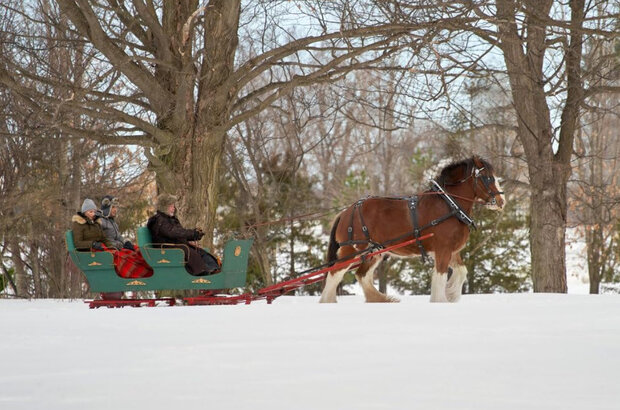 A Royal Christmas Crush (2023) - photo 6