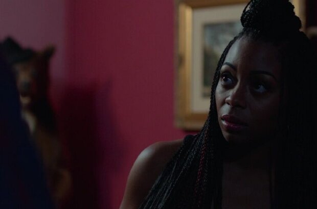 Meet the Blacks (2016) - photo 5