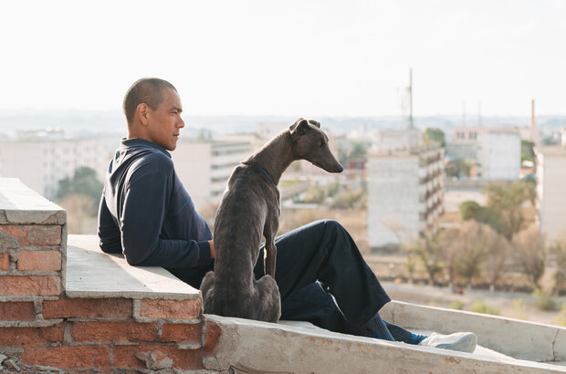 Black Dog (2024) - photo 7