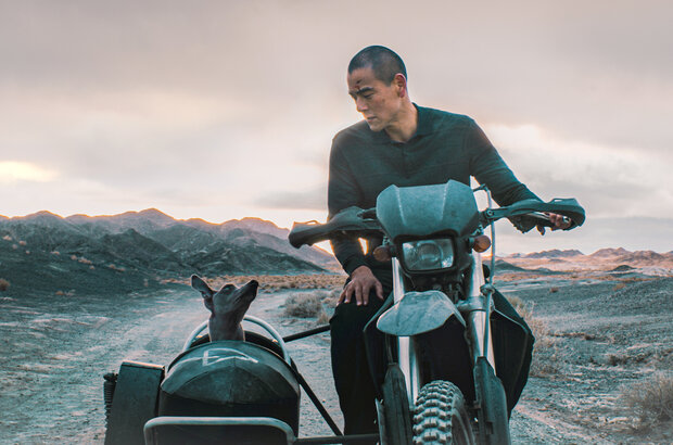 Black Dog (2024) - photo 2