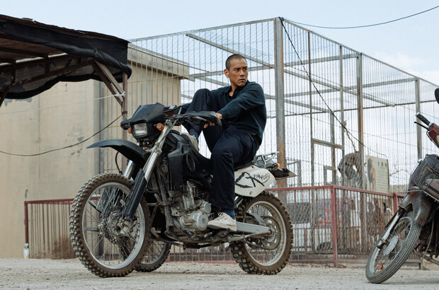 Black Dog (2024) - photo 8