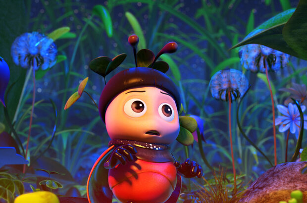 The Ladybug (2017) - photo 6