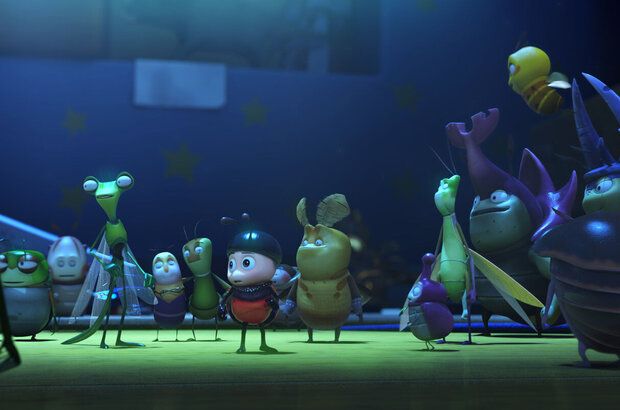 The Ladybug (2017) - photo 7