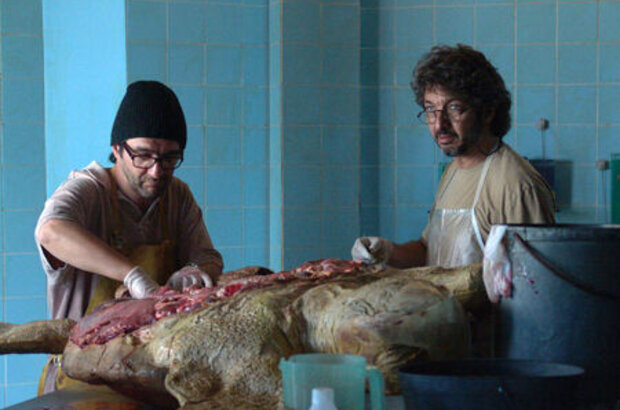 XXY (2007) - photo 4