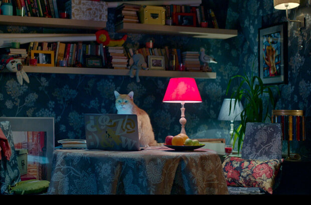 Domovoy (2019) - photo 4
