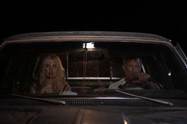 Dig (2022) - photo 2