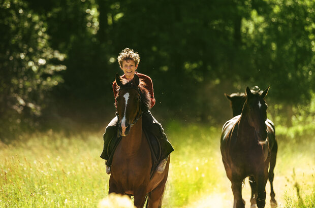 Out Stealing Horses (2019) - photo 1