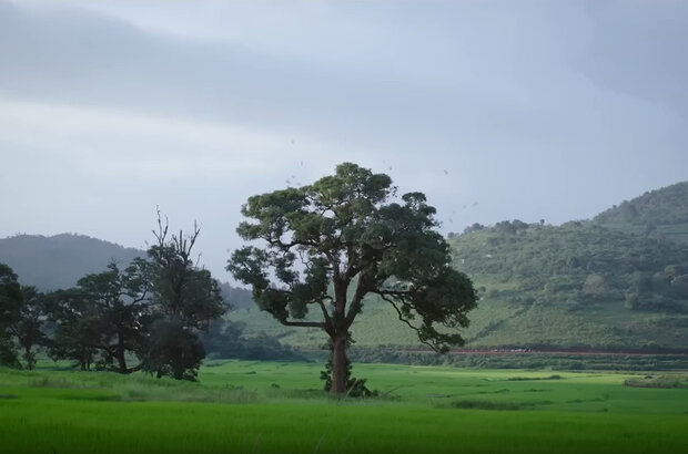 Ayalaan (2024) - photo 2