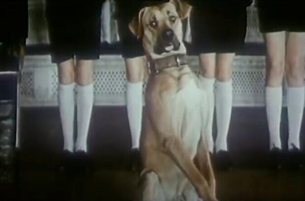 A Teacher of Singing (1972) - photo 8