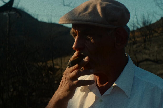 The Cleaners (2022) - photo 4