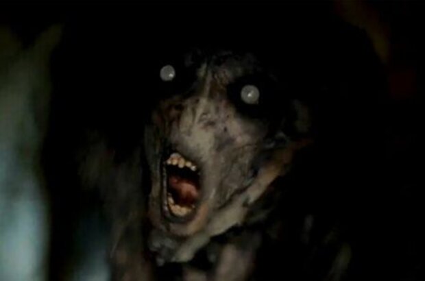 Don't Be Afraid of the Dark (2011) - photo 7