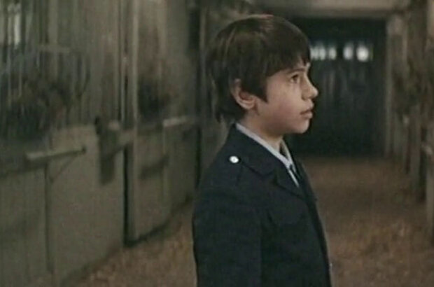The Most Beautiful Horse (1976) - photo 6