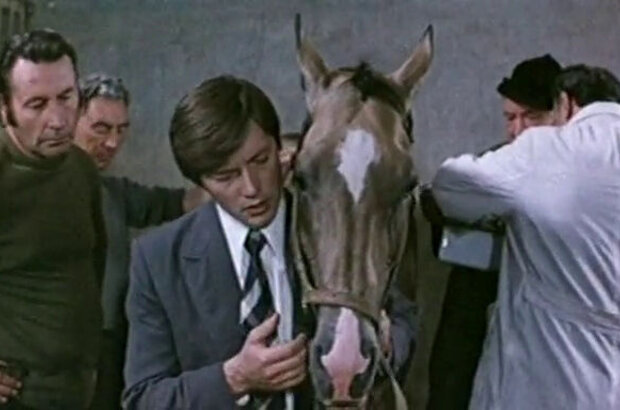 The Most Beautiful Horse (1976) - photo 5