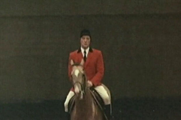 The Most Beautiful Horse (1976) - photo 1