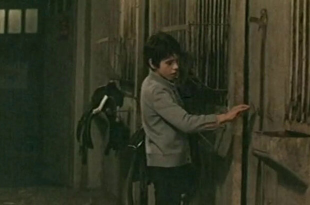 The Most Beautiful Horse (1976) - photo 11
