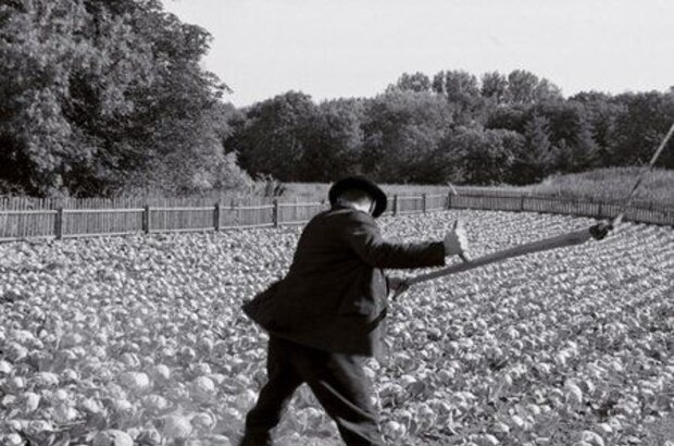 The White Ribbon (2009) - photo 6