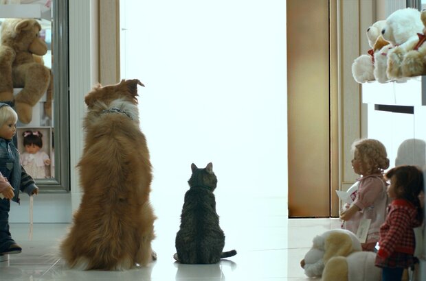Land of Good Kids (2013) - photo 15