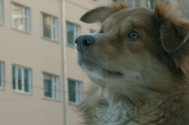 Land of Good Kids (2013) - photo 11