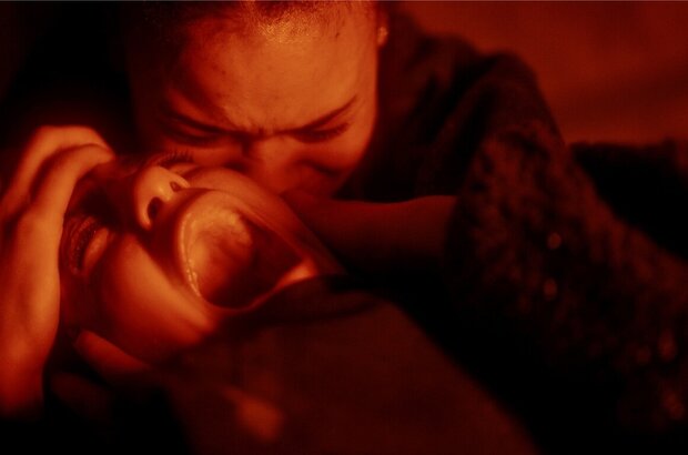 Vermin (2023) - photo 3
