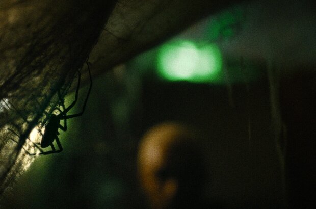Vermin (2023) - photo 5