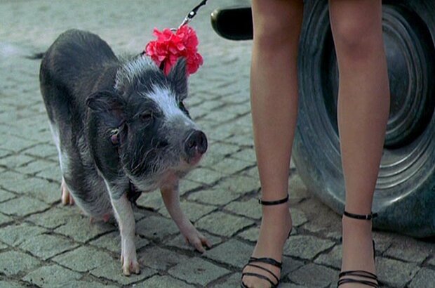 Chetyre taksista i sobaka (2004) - photo 1