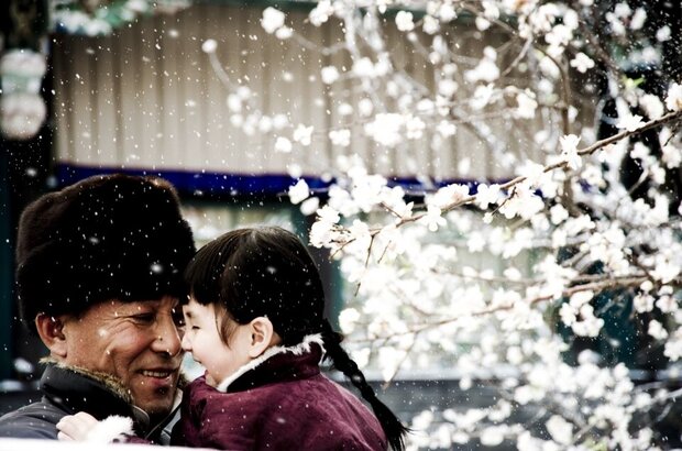 The Grandmaster (2012) - photo 9