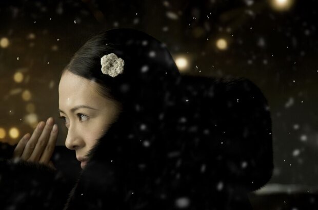 The Grandmaster (2012) - photo 5