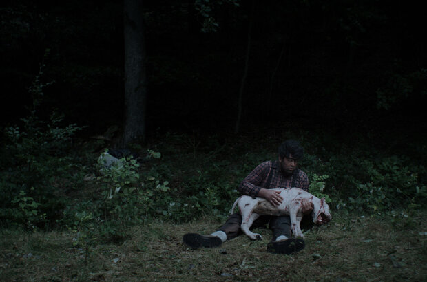 Koko-di Koko-da (2019) - photo 10