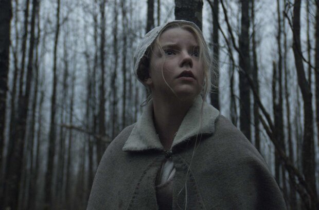 The Witch (2015) - photo 5
