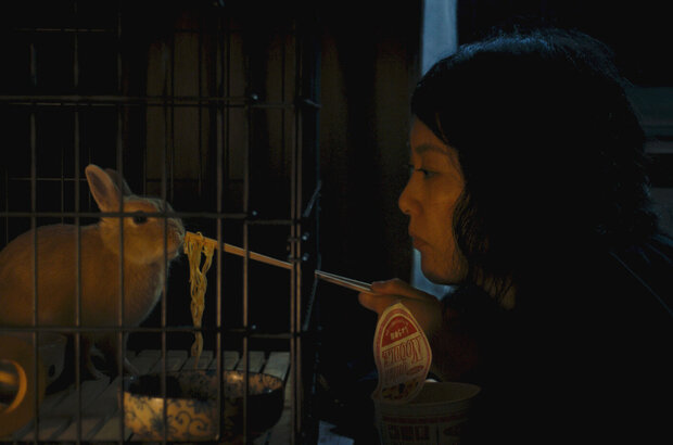 Kumiko, the Treasure Hunter (2014) - photo 4